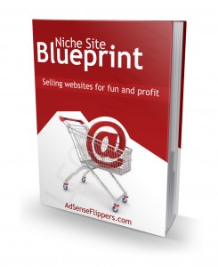 Niche Site Blueprint cover